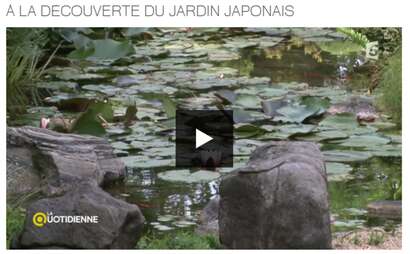 Photo de l'actualité' à la découverte du jardin Japonais - Sur France 5 en replay 